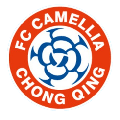 重庆笛凯忠赤首发阵容